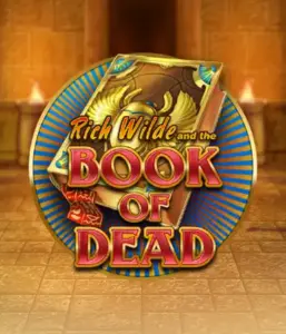 Dive into the thrilling world of Book of Dead Slot by Play'n GO, presenting vivid graphics of Rich Wilde's journey through ancient Egyptian tombs and artifacts. Find lost riches with engaging mechanics like free spins, expanding symbols, and a gamble option. Ideal for adventure seekers with a desire for unearthing secrets.